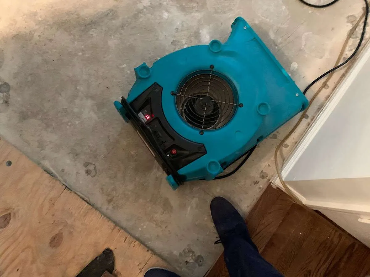 Air mover drying subfloor during Commercial Water Damage Restoration in Orting